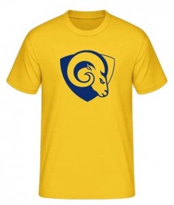 Dětské tričko Berani Zlín Team Logo žluté